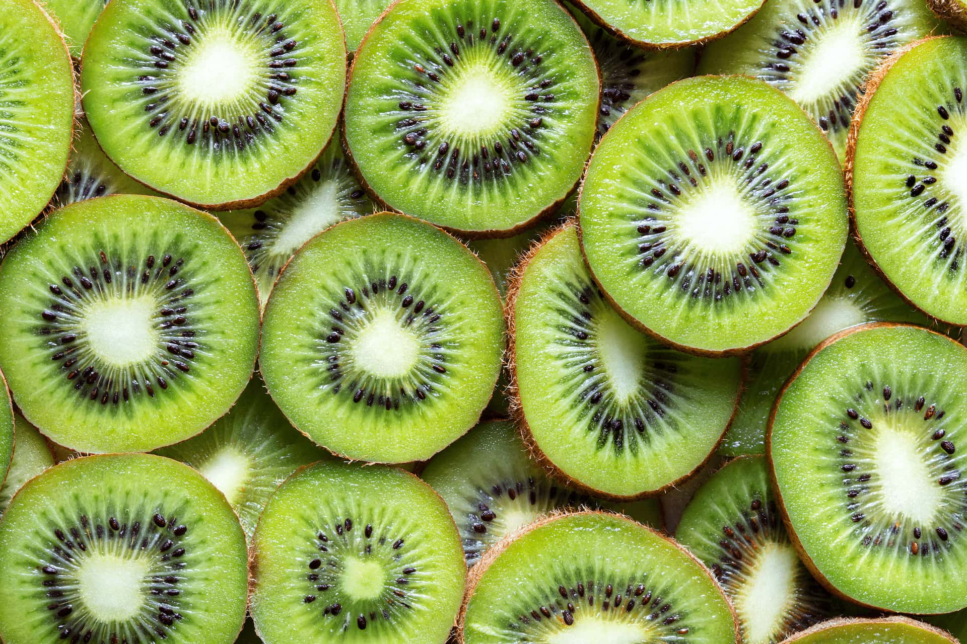 Kiwi Importando - Nova Era Importadora de Frutas
