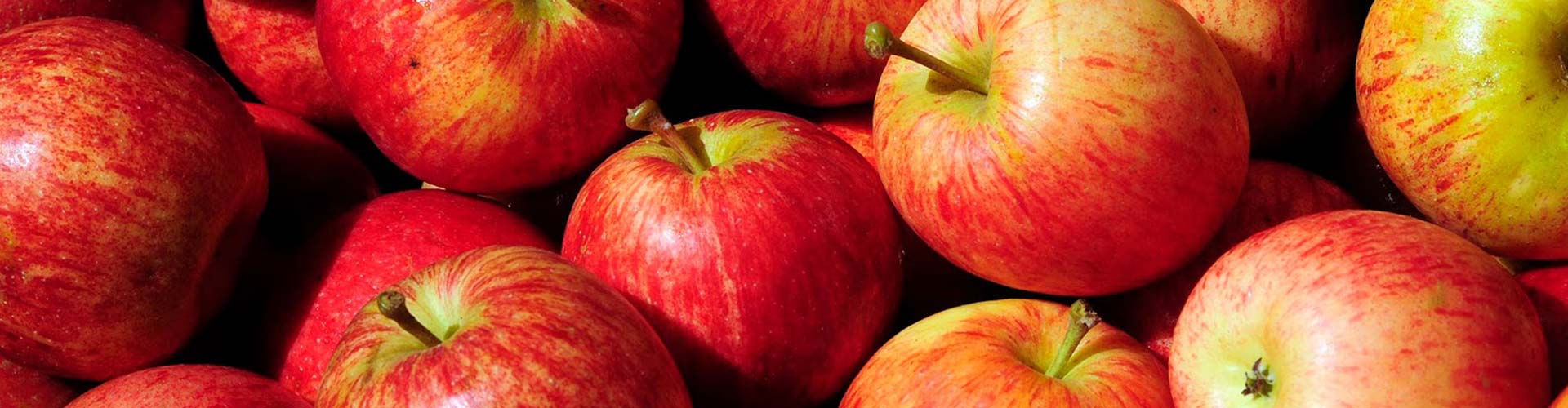 Maçã Fuji - Nova Era COmercio de Frutas