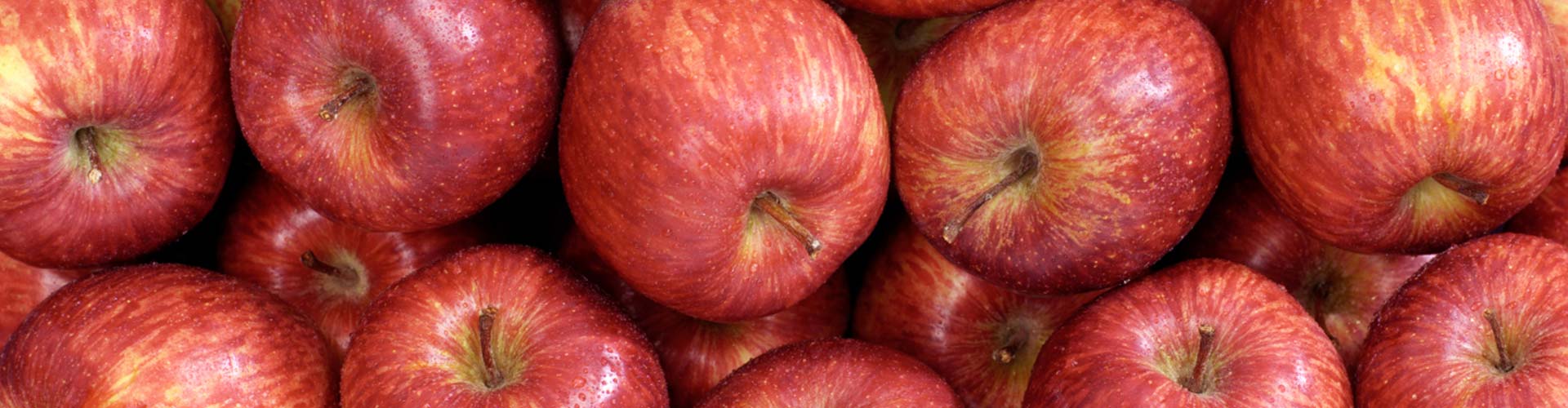 Maçã Gala - Nova Era Comércio de Frutas