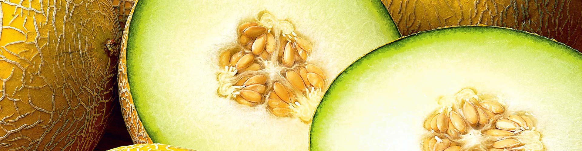 Melão Gália - Nova Era Importadora de Frutas