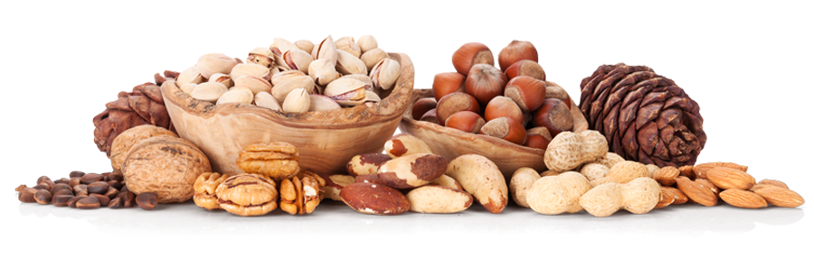 Oleaginosas - Nova Era Importadora e Distribuidora de Frutas