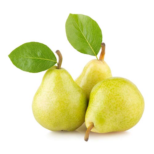 Pera D'Anjou