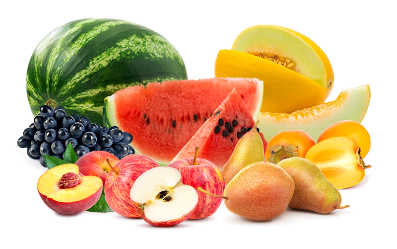 Frutas Comuns - Nova Era Importadora e Distribuidora de Frutas