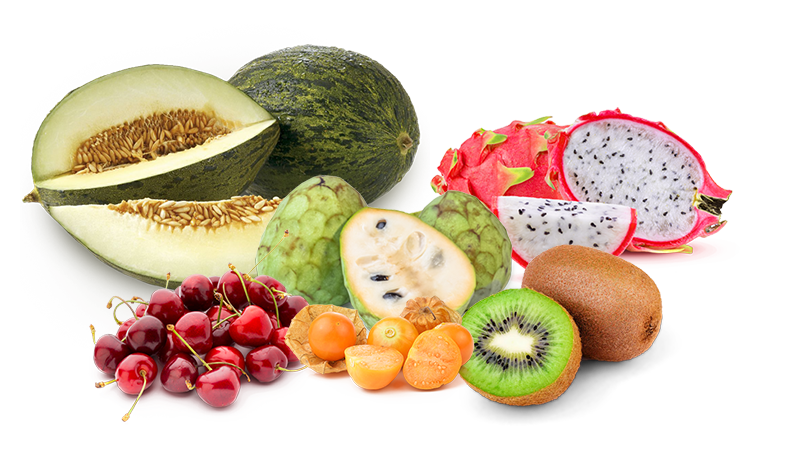 Frutas Exóticas - NovaEra Distribuidora e Importadora de Frutas